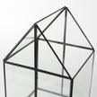 Mercana Sikes Hut Terrarium W/Glass Base