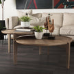 Mercana Cleaver Round Brown Solid Wood Nesting Coffee Tables- Set of 2