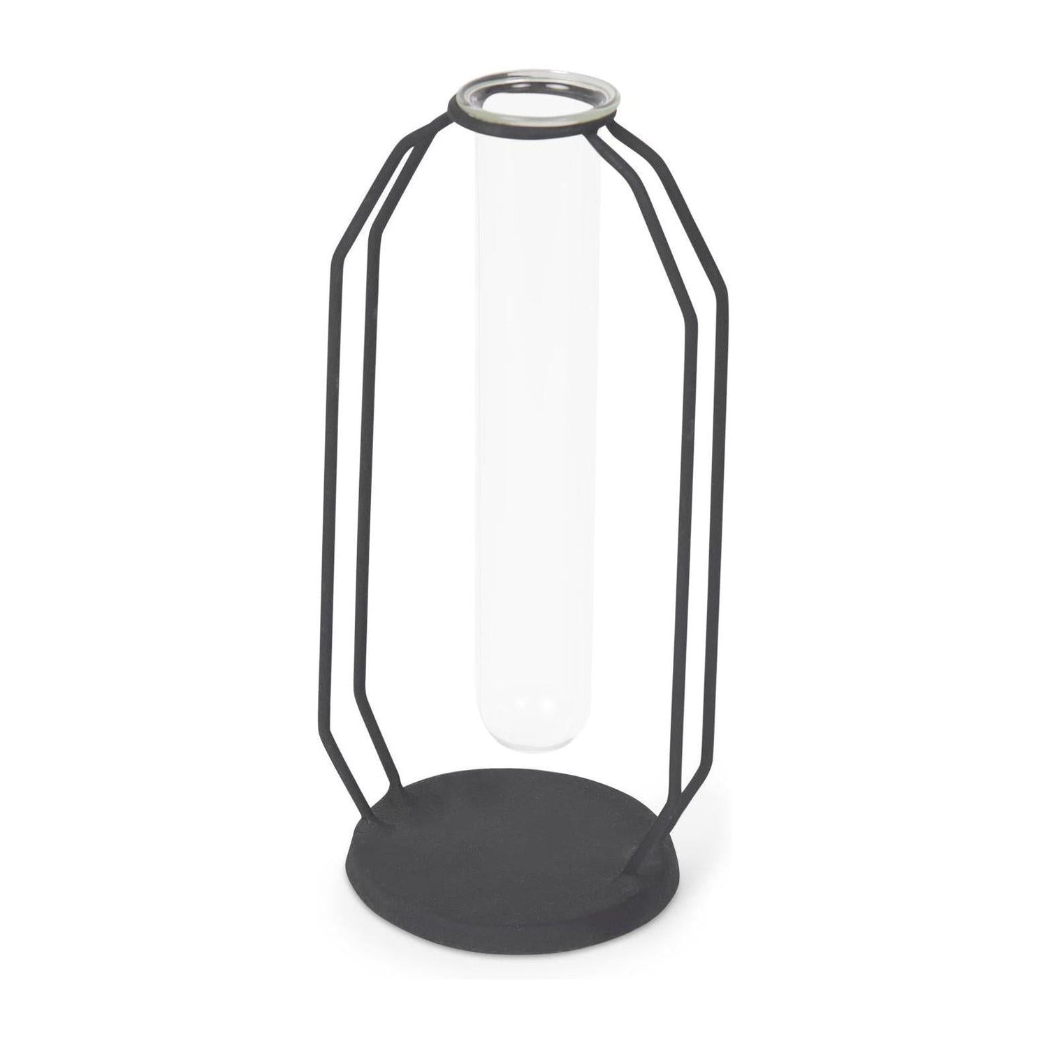 Mercana Aria Metal and Glass Decorative Accent Clearance