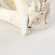 Mercana Fozzil Resin Sabretooth Skull Replica