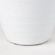 Mercana Basin Off-White Glazed Vase
