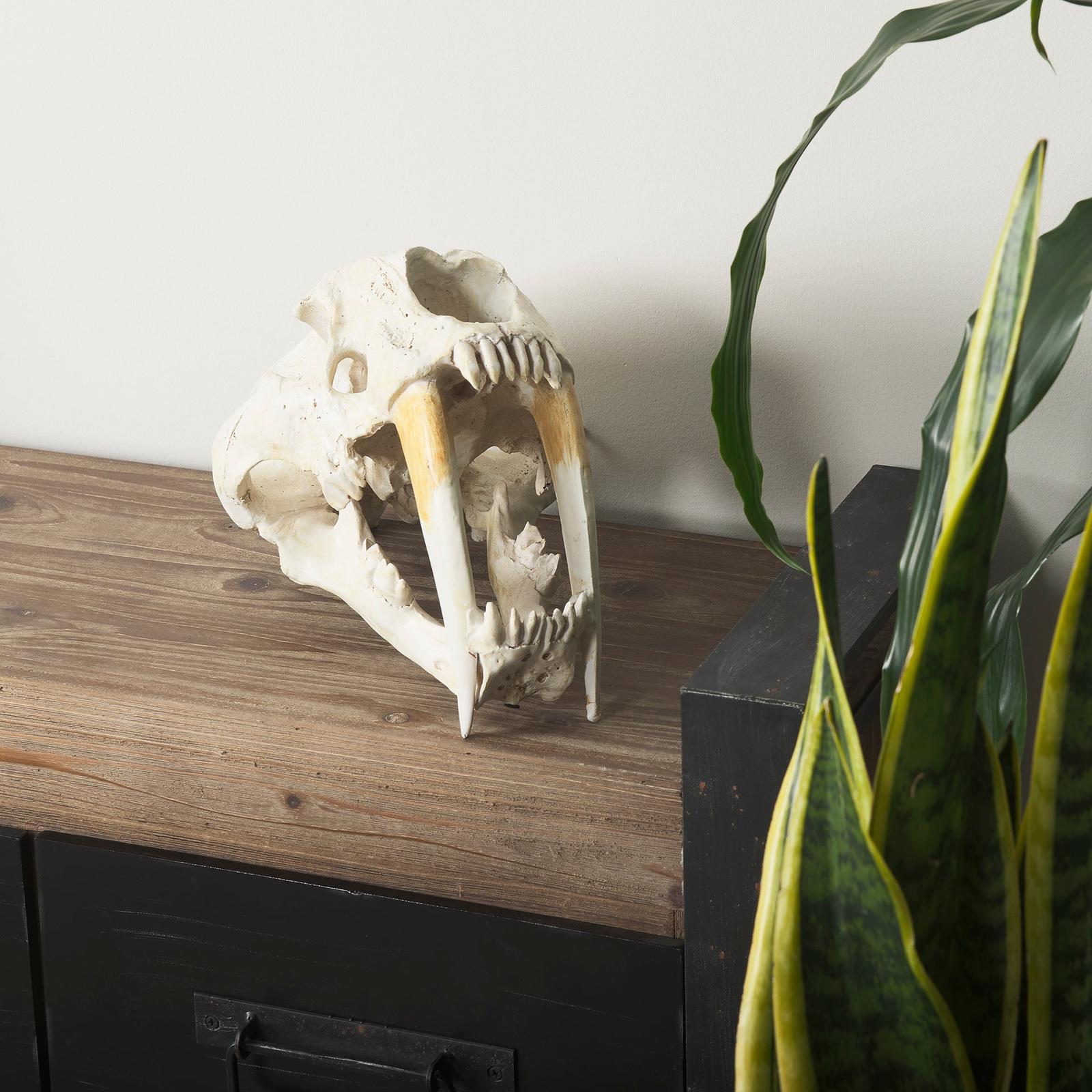 Mercana Fozzil Resin Sabretooth Skull Replica
