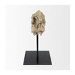 Mercana Dwell Cholla Wood Resin Decorative Object