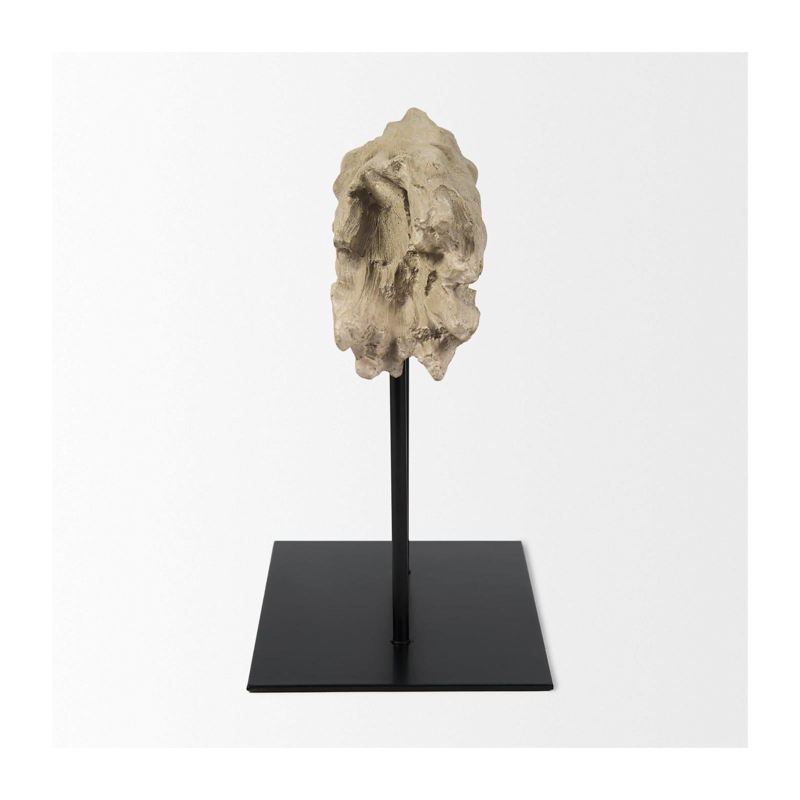 Mercana Dwell Cholla Wood Resin Decorative Object