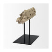 Mercana Dwell Cholla Wood Resin Decorative Object