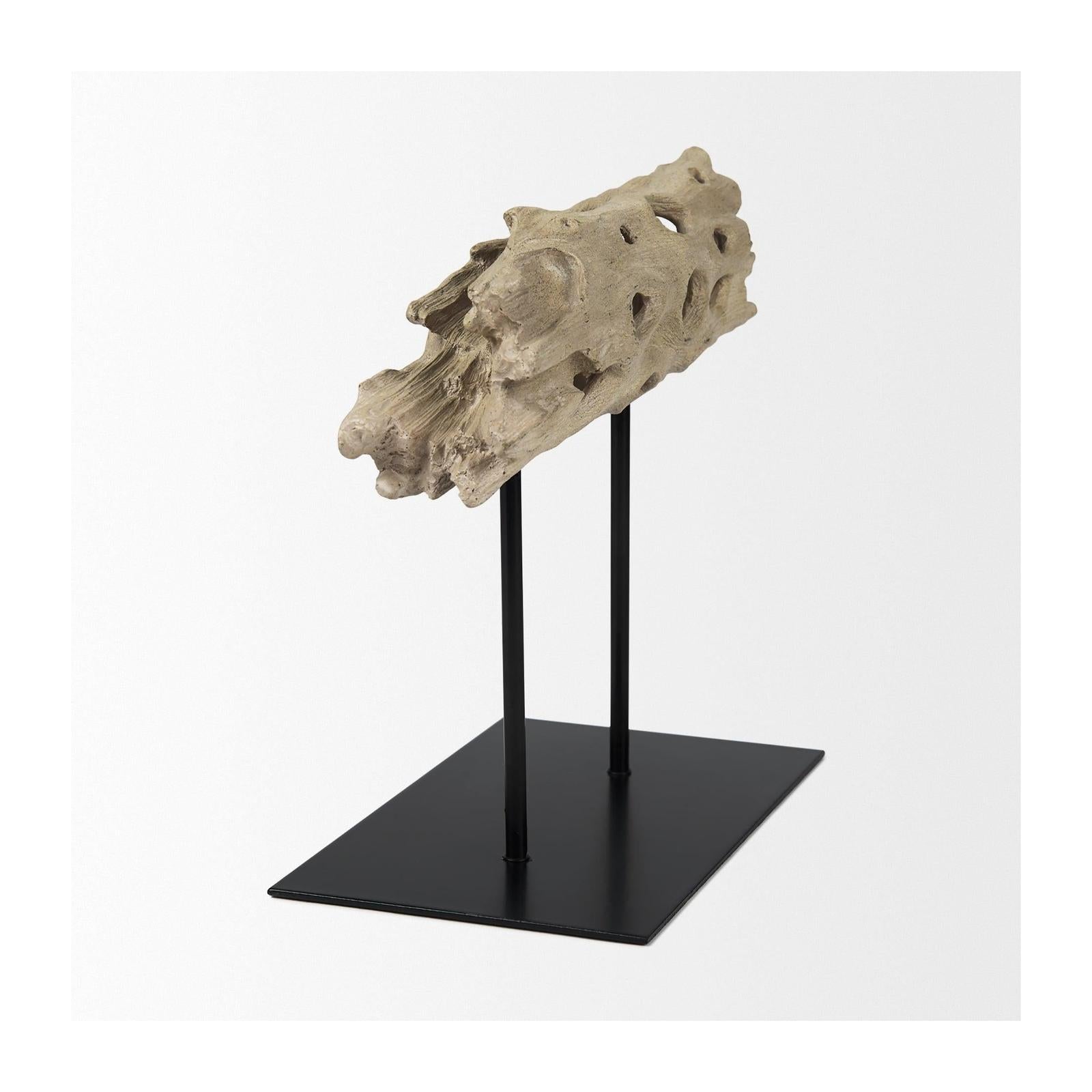 Mercana Dwell Cholla Wood Resin Decorative Object