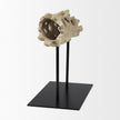 Mercana Dwell Cholla Wood Resin Decorative Object