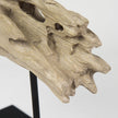 Mercana Dwell Cholla Wood Resin Decorative Object
