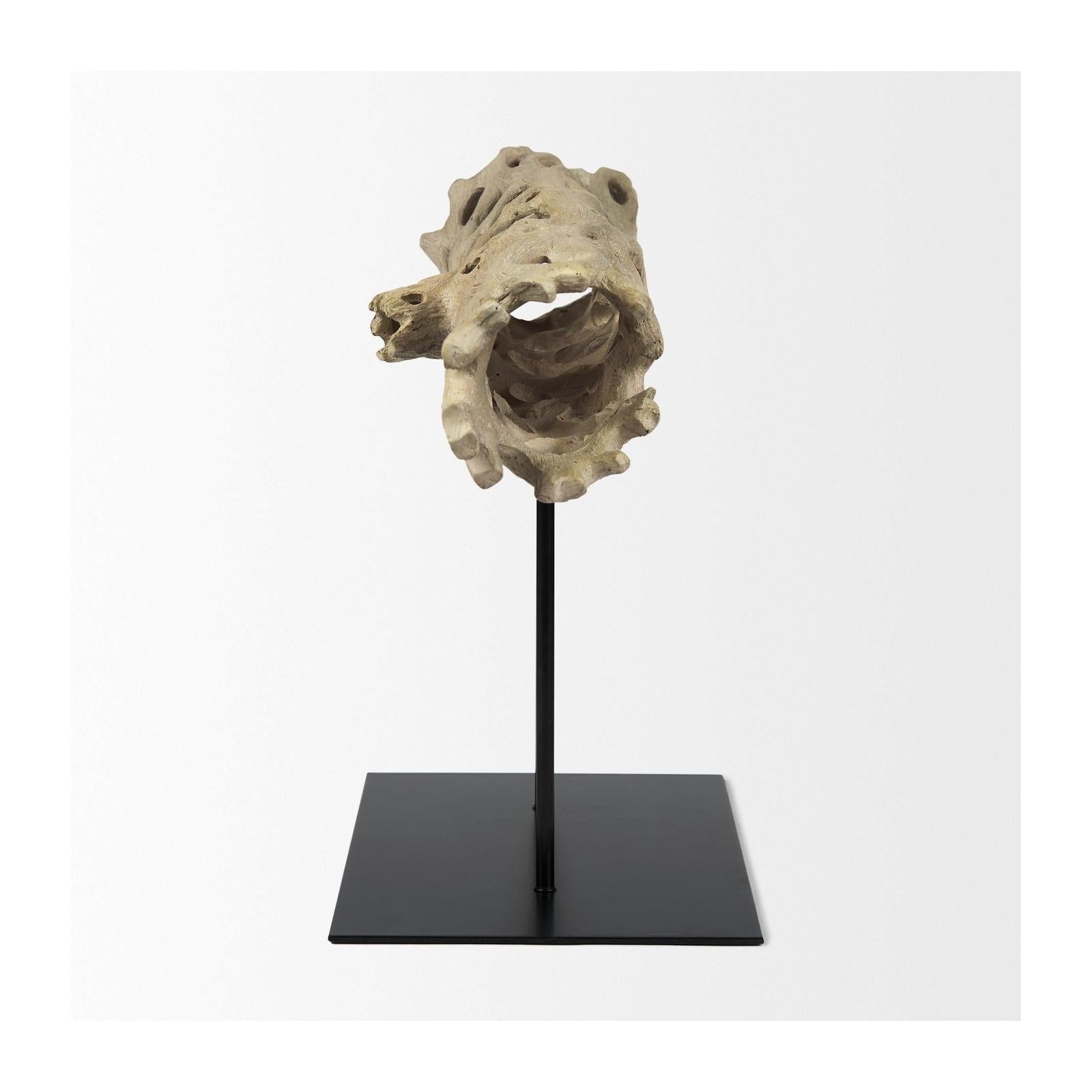 Mercana Dwell Cholla Wood Resin Decorative Object