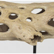 Mercana Dwell Cholla Wood Resin Decorative Object