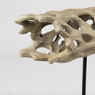 Mercana Dwell Cholla Wood Resin Decorative Object