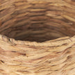 Mercana Tamuz Grass Baskets - Set of 2 Clearance