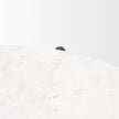 Mercana Rumer Dark Brown Wood w/ White Marble Coffee Table