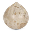 Mercana Caprie Beige Marble Decorative Juice Squeezer