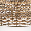 Mercana Sana Watergrass Pendant Light