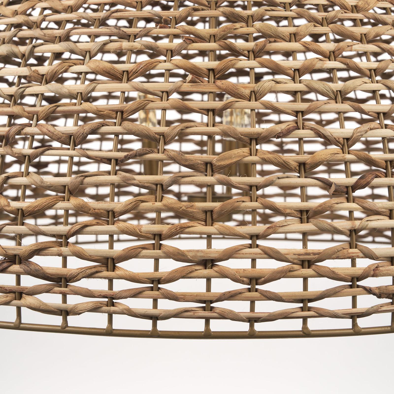 Mercana Sana Watergrass Pendant Light