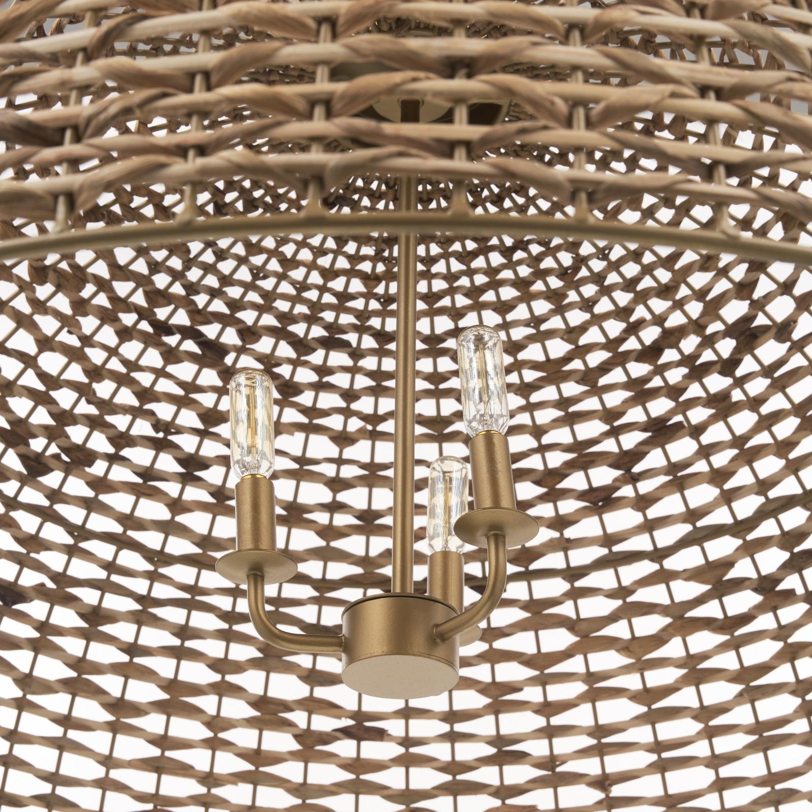 Mercana Sana Watergrass Pendant Light