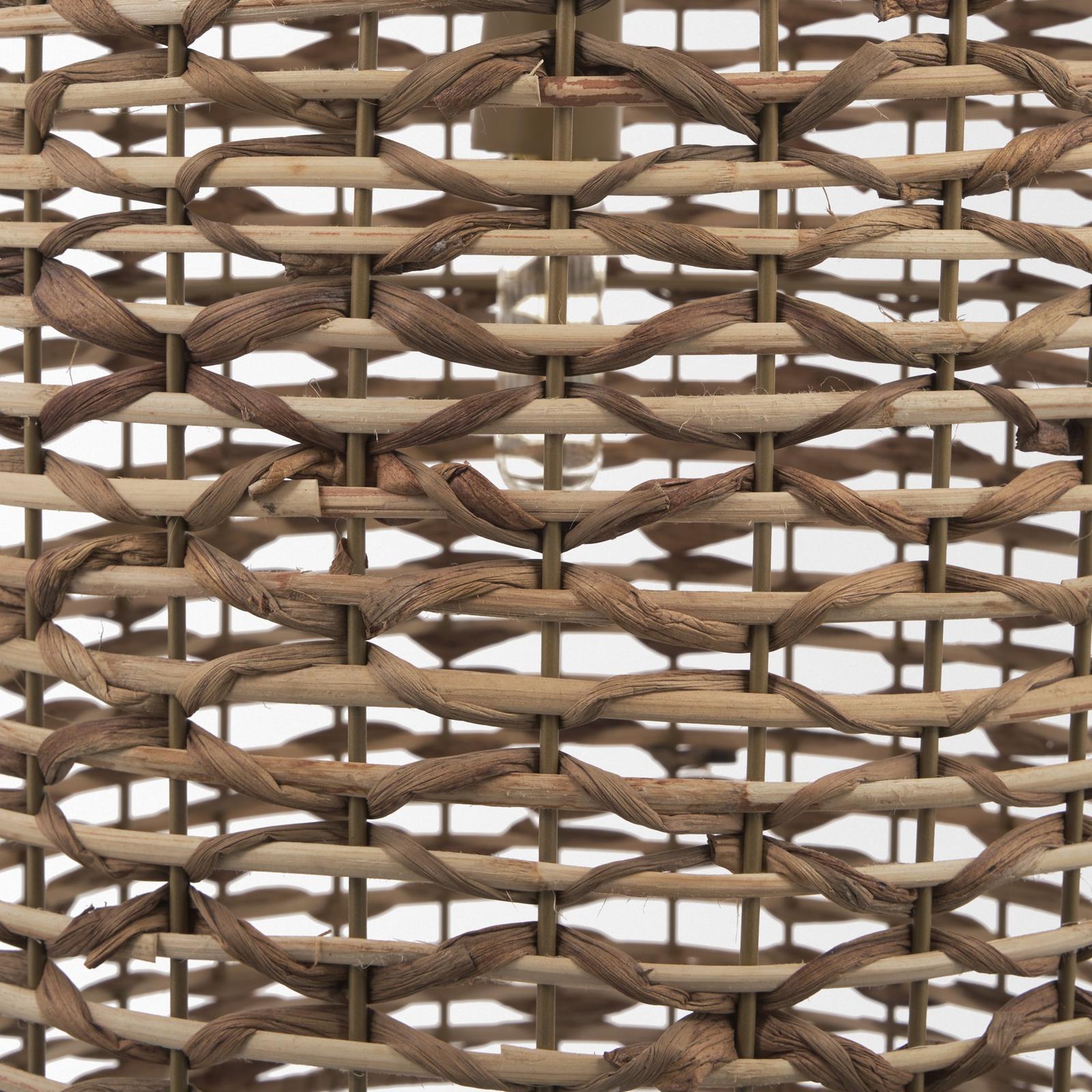 Mercana Sana Watergrass Pendant Light