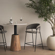 Mercana Carolyn Fabric & Matte Black Metal Counter Stool