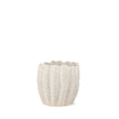Mercana Velia Seashell Sculptural Cream Glazed Ceramic Vase Clearance