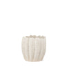 Mercana Velia Seashell Sculptural Cream Glazed Ceramic Vase Clearance