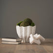 Mercana Linx Resin Sculpture Decorative Object