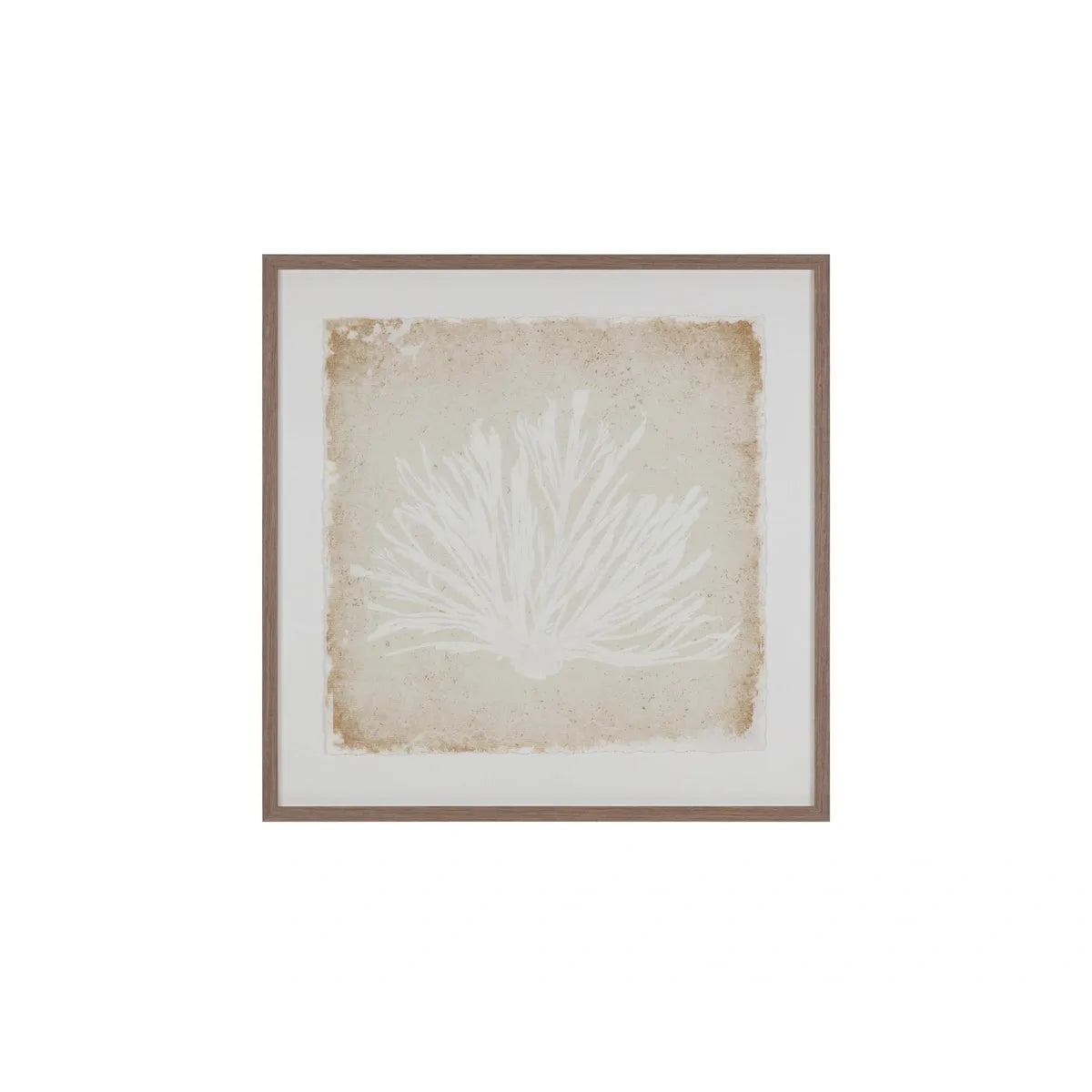 Sunpan Aquatic Flora Brown Frame