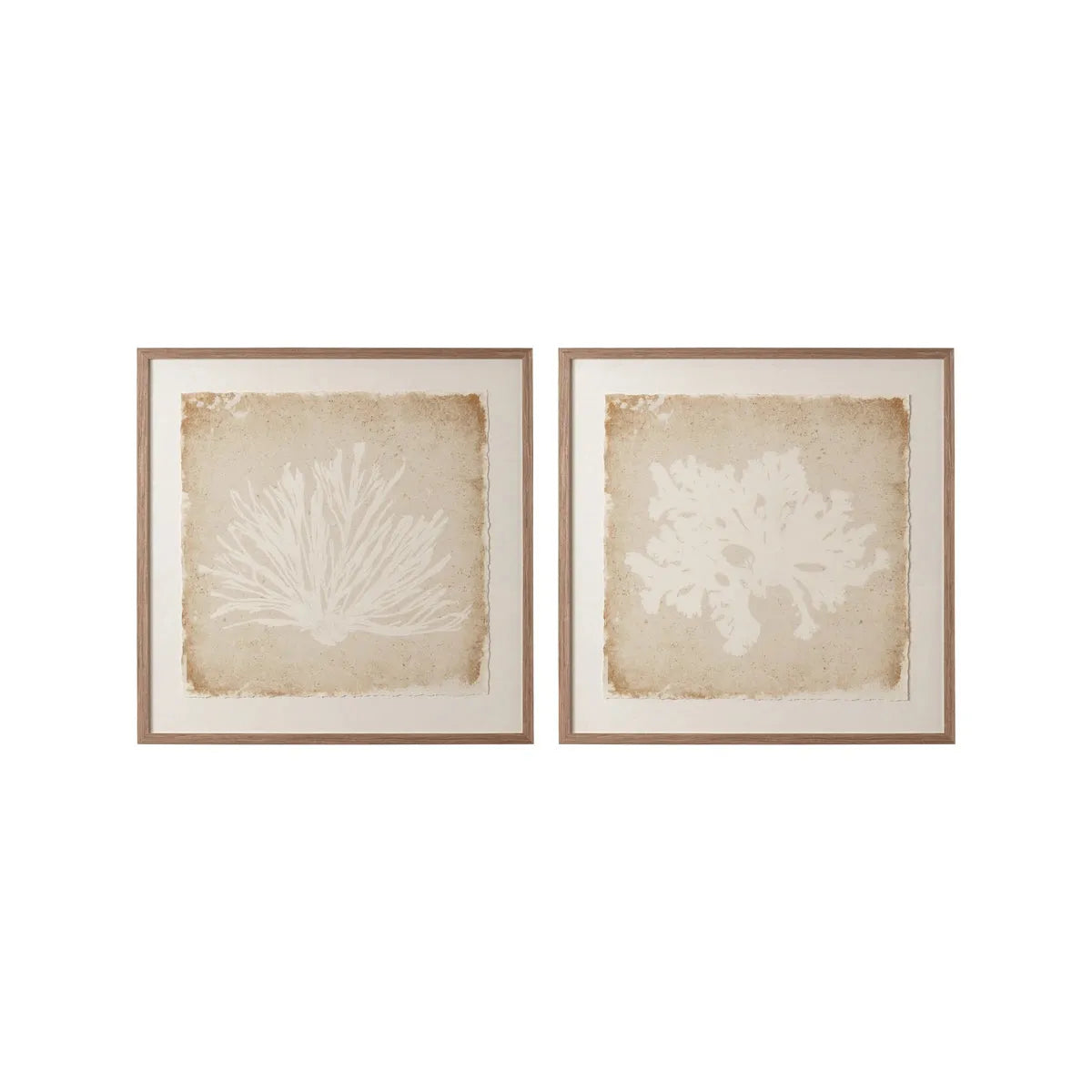 Sunpan Aquatic Flora Brown Frame