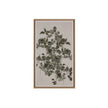 Sunpan Botanical Study Natural Floater Frame