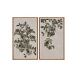 Sunpan Botanical Study Natural Floater Frame