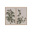 Sunpan Botanical Study Natural Floater Frame
