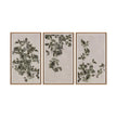 Sunpan Botanical Study Natural Floater Frame