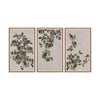 Sunpan Botanical Study Natural Floater Frame