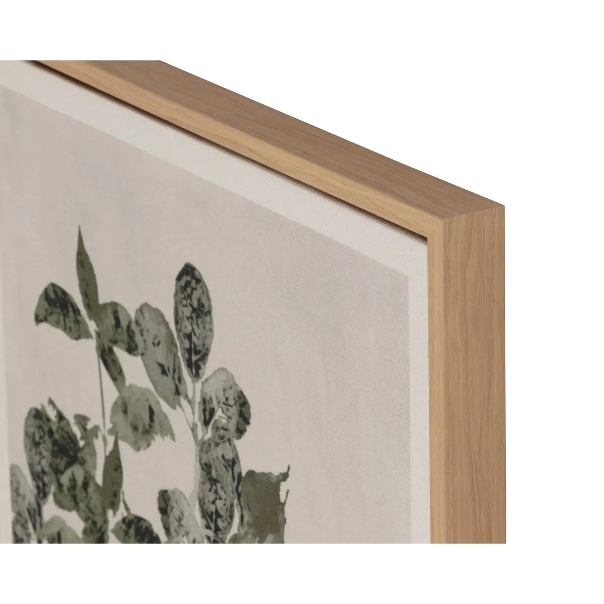Sunpan Botanical Study Natural Floater Frame