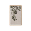 Sunpan Botanical Study Natural Floater Frame
