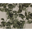 Sunpan Botanical Study Natural Floater Frame