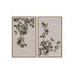 Sunpan Botanical Study Natural Floater Frame