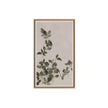 Sunpan Botanical Study Natural Floater Frame