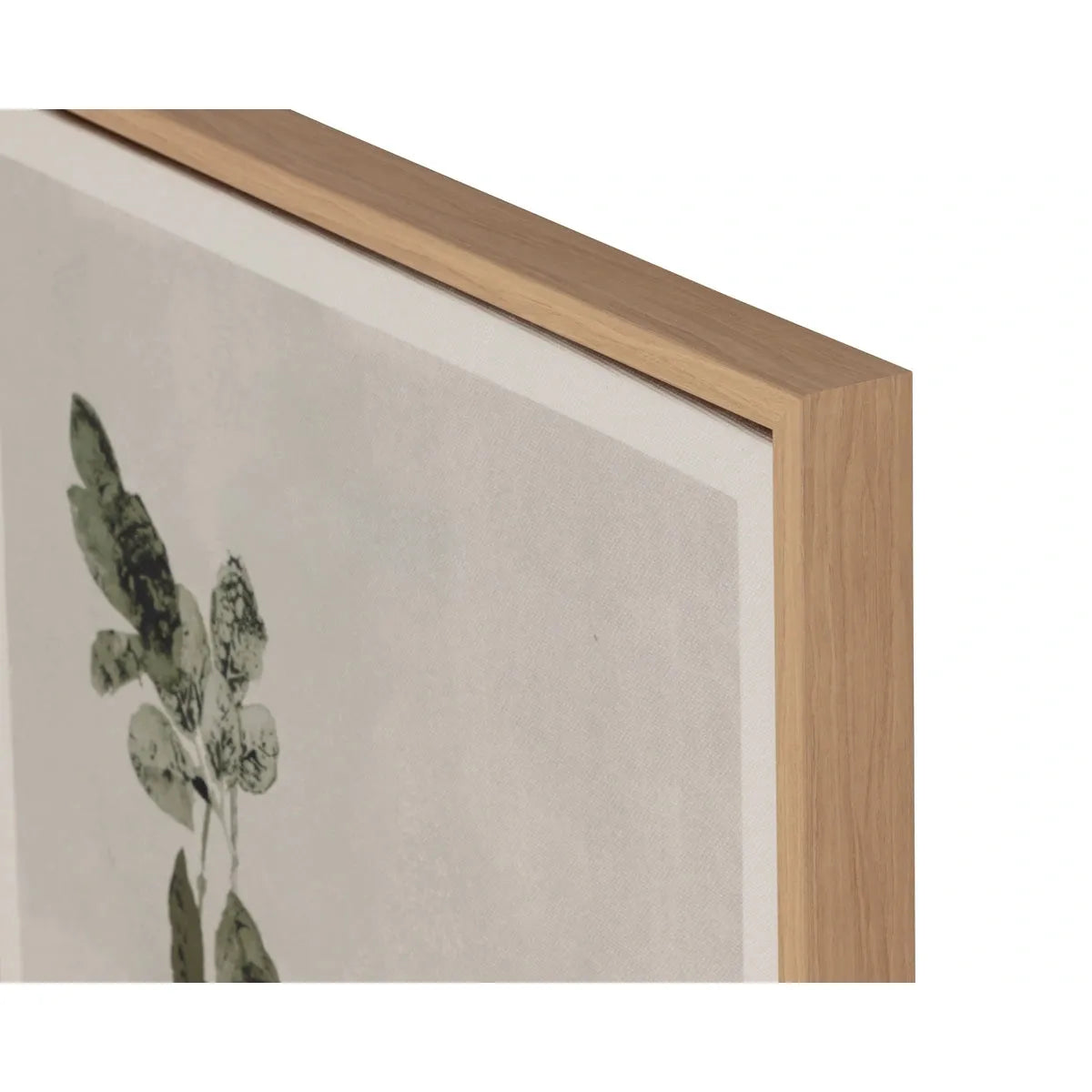 Sunpan Botanical Study Natural Floater Frame