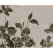 Sunpan Botanical Study Natural Floater Frame