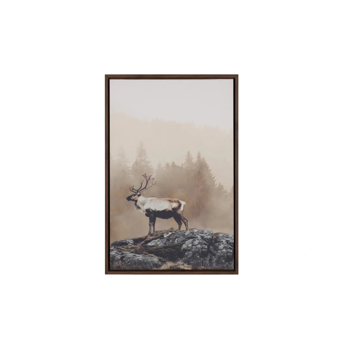 Sunpan Into The Wild Brown Floater Frame