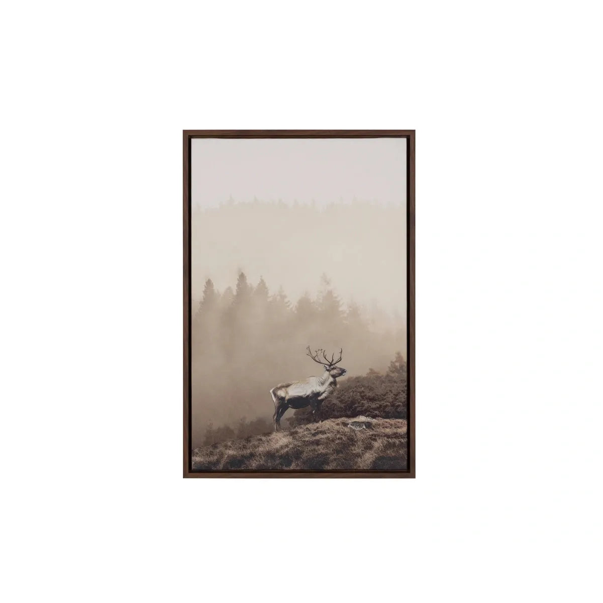 Sunpan Into The Wild Brown Floater Frame