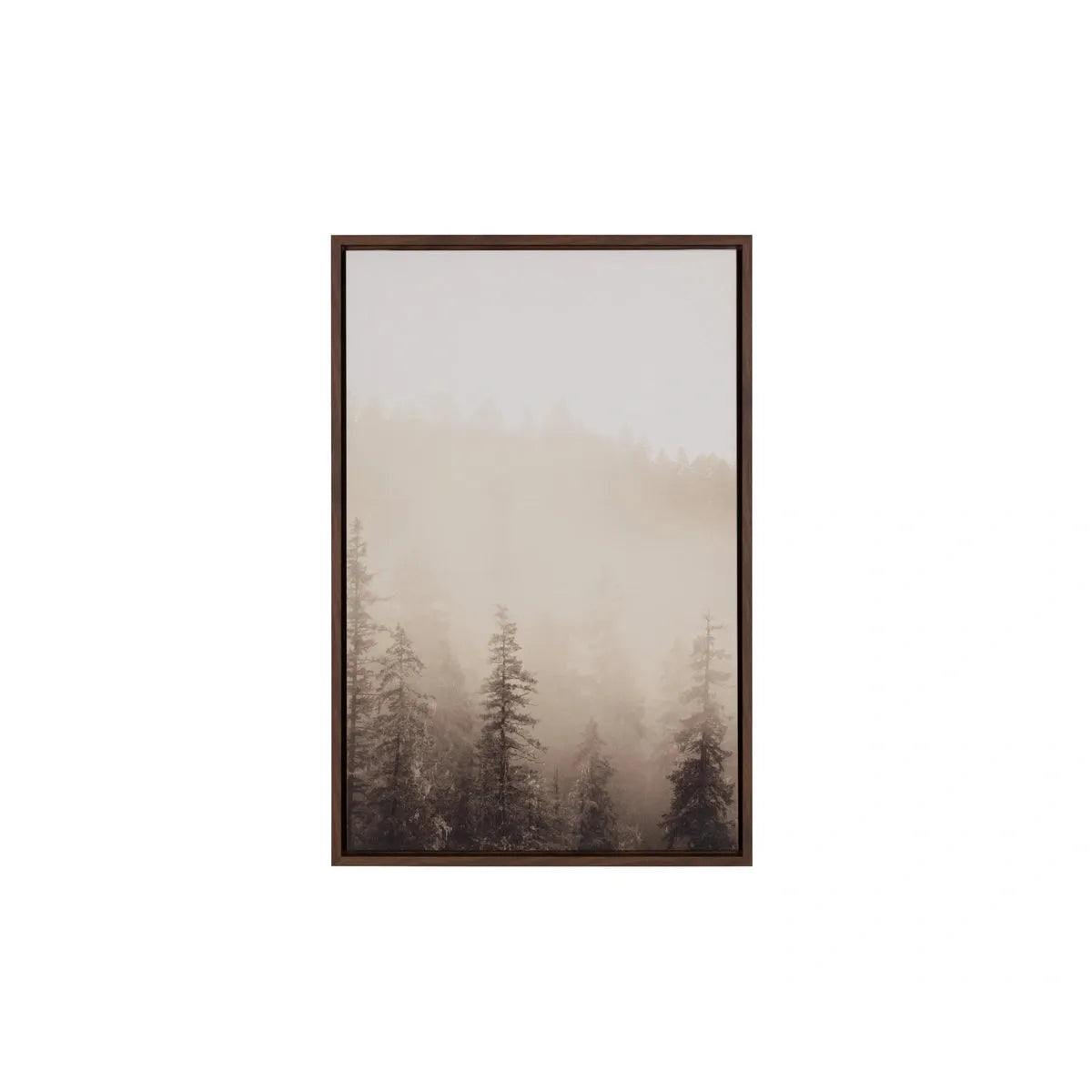 Sunpan Mistwood Brown Floater Frame