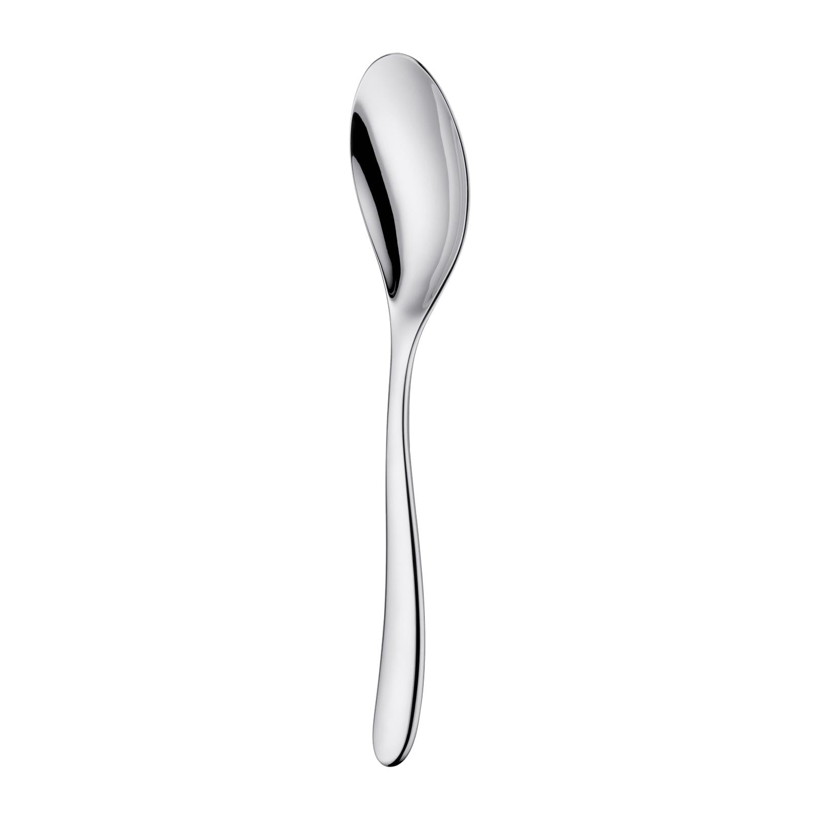 Christofle L'Ame de Christofle Stainless Steel Serving Spoon