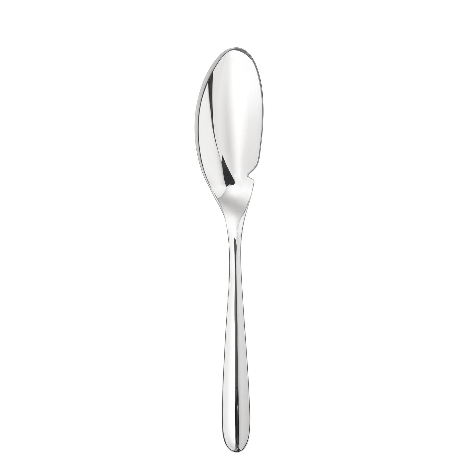 Christofle L'Ame de Christofle Stainless Steel Fish Knife