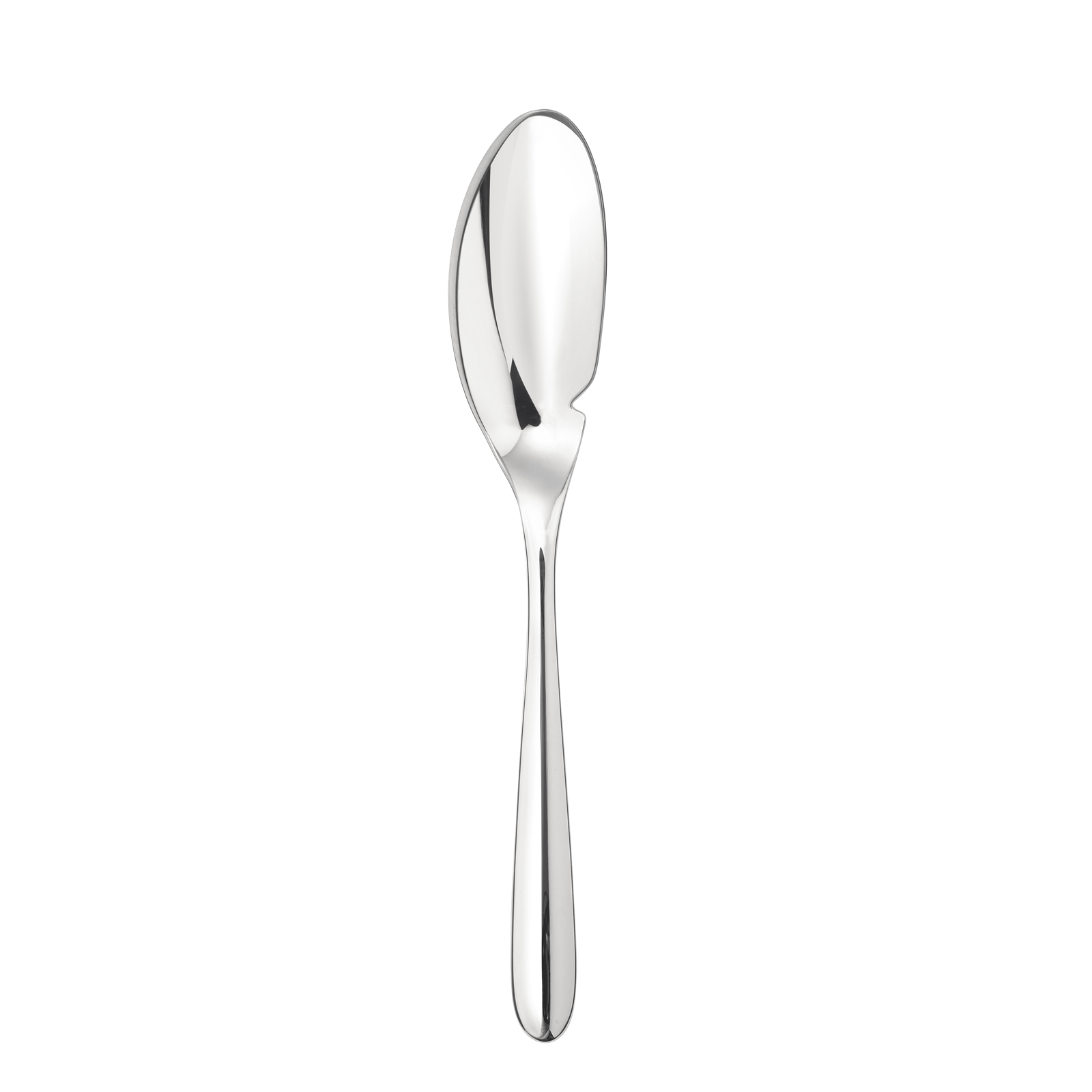 Christofle L'Ame de Christofle Stainless Steel Fish Knife
