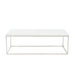 Euro Style Teresa Rectangular Coffee Table