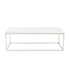 Euro Style Teresa Rectangular Coffee Table