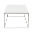 Euro Style Teresa Rectangular Coffee Table