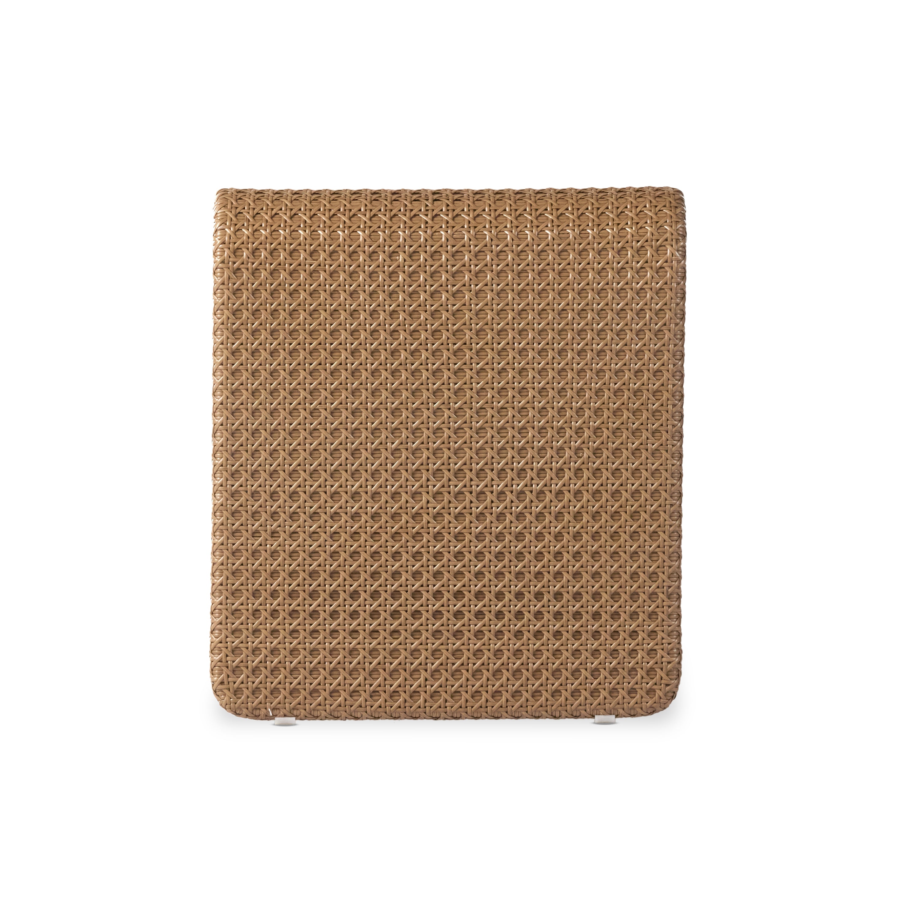 Paige Outdoor Woven Chaise Lounge